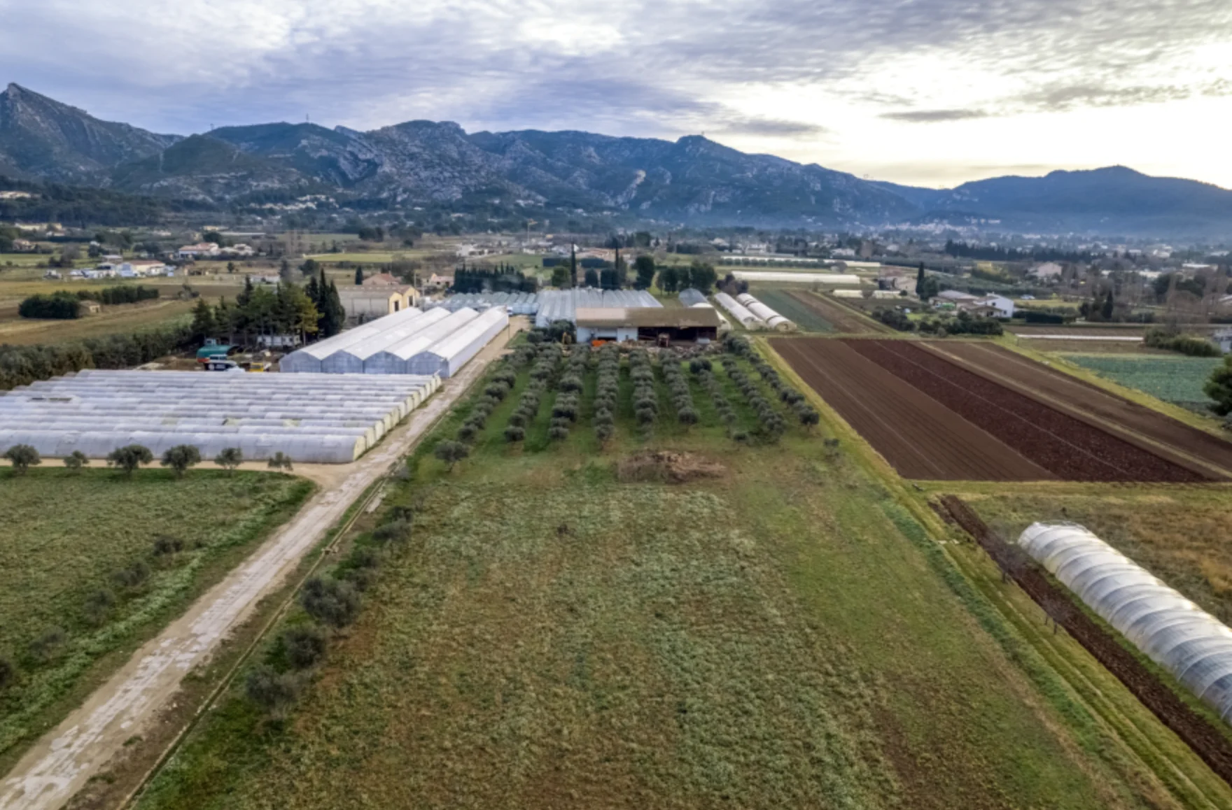 Bâtisse provençale Aubagne - Vue terrain agricole
